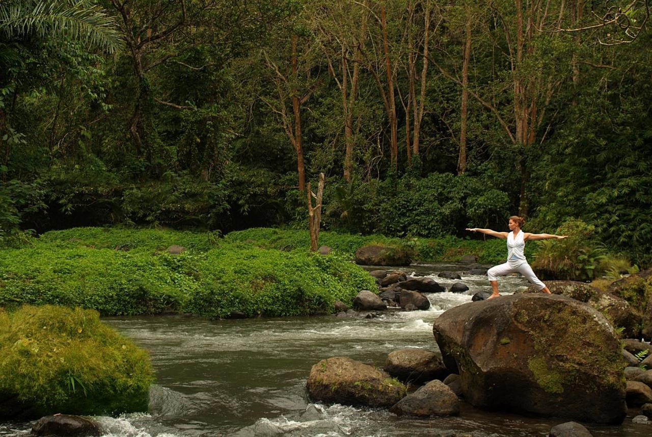 Pita Maha Resort & Spa Ubud Zewnętrze zdjęcie